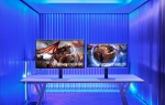 Dlaczego warto wybrać monitor OLED?