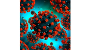 Jak powinna wyglądać diagnostyka SARS-CoV-2, by była skuteczna?