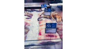 Kaufland oferuje świeże ryby z certyfikatem MSC w kolejnych sklepach