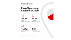 W Polsce mamy o 1/5 więcej sklepów internetowych niż rok temu, już ponad 44 tys.