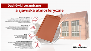 Dach do zadań specjalnych – jakie pokrycie zapewni nam najwyższy poziom bezpiecz Biuro prasowe