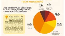 Rośnie świadomość ekologiczna Polaków. 80 proc. badanych chciałoby energii z OZE