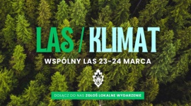 Wspólny Las 2024: dziesiątki leśnych wydarzeń w całej Polsce!