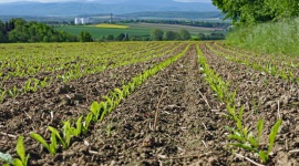 Nordzucker Polska S.A. w międzynarodowym projekt Soil Values